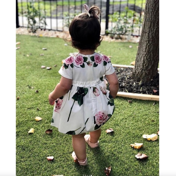 Dolce & Gabbana Pink Rose Dress size 2T New With Tags - Picture 4 of 16
